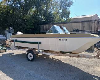 17 foot Newman boat with Johnson 100 outboard motor in good condition