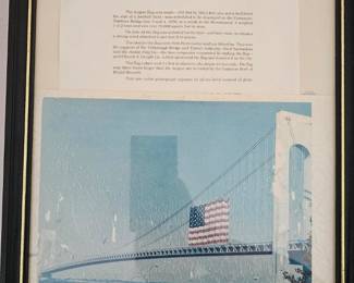 Framed world's largest American flag