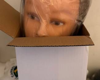 Hair styling head or great Halloween decor