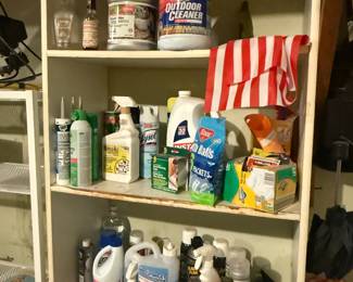 Cleaning supplies and misc chemicals