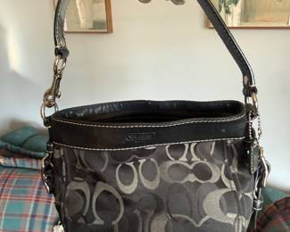 Small Coach purse