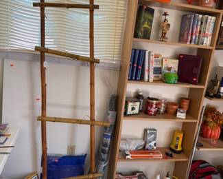 Rustic wood decorative ladder, bookcase, books