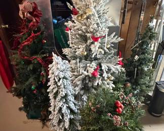 Christmas Trees (basement)