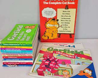 Lot 168 Garfield Complete Cat Book and Treasury Comic Books by Jim D