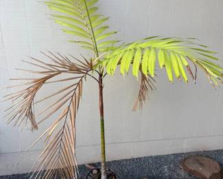 ARS282 - Small Palm Tree