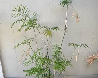 ARS280 - Bamboo Palm Tree