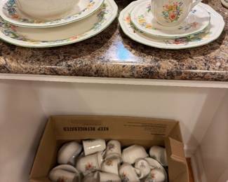 Mikasa Country Garden service for eight plus many more pieces.