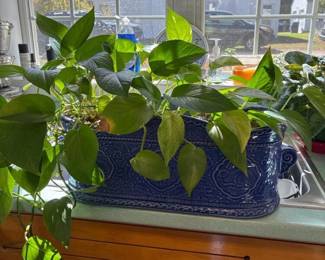 016 lejardinsuzannenicollwindowboxplant