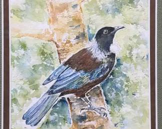 Original Watercolor Painting Signed D. Toulson New Zealand Tui Bird Framed