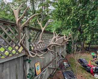 Elk racks