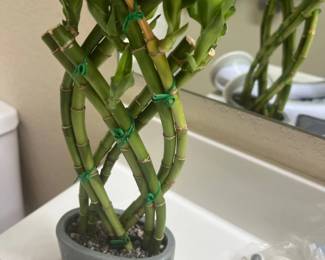 Braided lucky bamboo plant arranged in a small grey oval pot filled with pebbles.