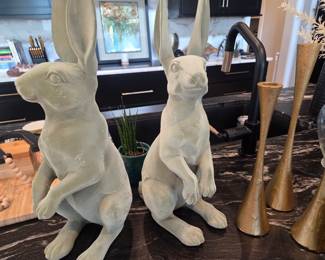 Velveteen rabbits 