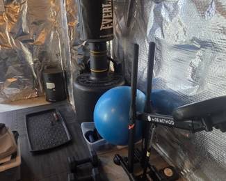 Everlast punching bag