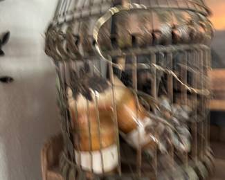 Birdcage