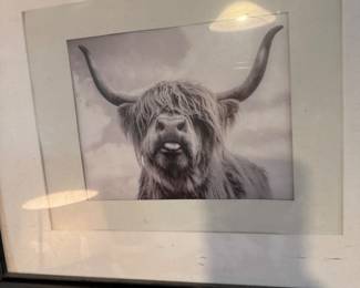 Framed Black-and-White Highland Cow Photograph