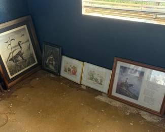 Framed Bird And Landscape Pictures