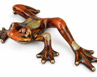 Glossy Mottled Frog with Golden Toes