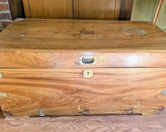 Antique Camphor Tree Trunk
