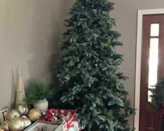 Big eight foot tree in four sections