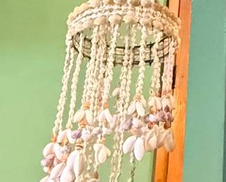 Shell Decor