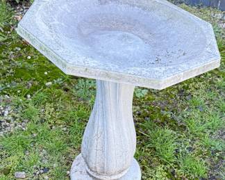 Bird Bath