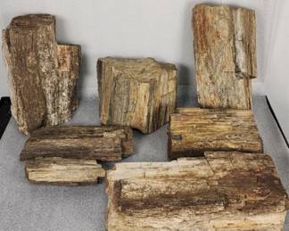 245 Lot 304h 60lbs of petrified wood and quartz specimen