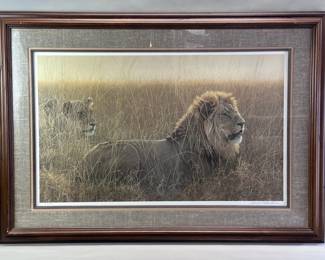 184 Lot 258 Robert Bateman Lions in the Grass signed print