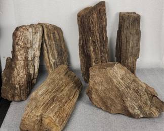 243 Lot 303h 54lbs of petrified wood and quartz specimen