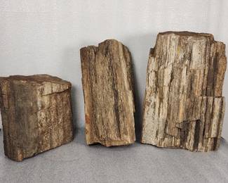 247 Lot 305h 57lbs of petrified wood and quartz specimen