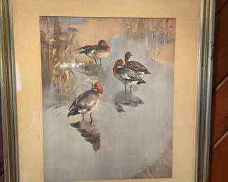 Vintage Vernon Ward Duck Print