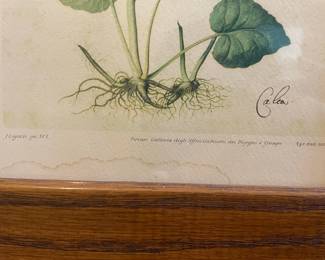 Jacopo Ligozzi Botanical Print Triptych Mirror