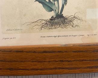 Jacopo Ligozzi Botanical Print Triptych Mirror