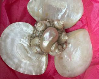 Natural Iridescent Polished Mother of Pearl Shell Accent Piece