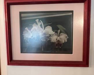 Laurent Brombier Floral Still Life Print