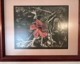 Hibiscus Floral Print in Wood Frame