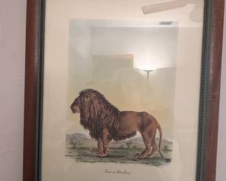 Antique Karl Joseph Brodtmann Barbary Lion Lithograph