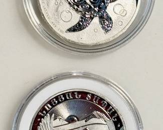 Lot of 2 Assorted Silver Rounds