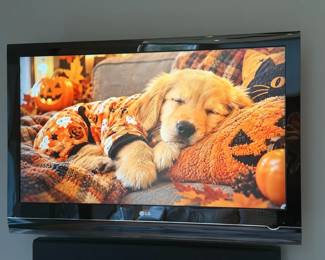42” LG TV