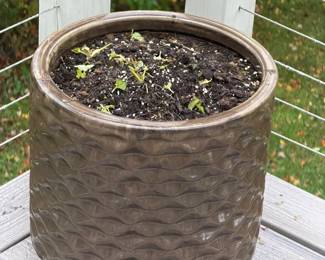 Plant Stand On Wheels