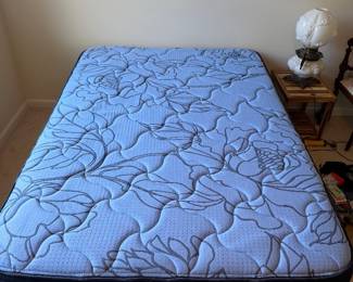 Brand New Sleepys By Sealy Full Mattress