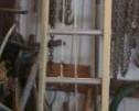 LADDER