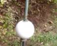 LIGHTING ROD