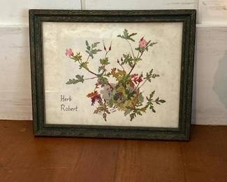 215 10x8framedherbrobertbotanicalart