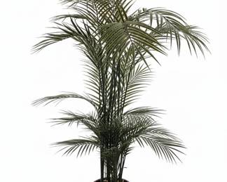 Artificial Areca Palm Tree