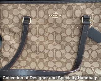 Collection of Designer and Specialty Handbags