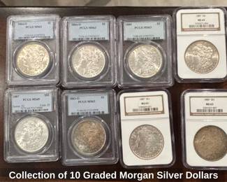 Collection of Graded Morgan Silver Dollars