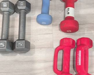 Assorted Hand Weight and Dumbbell Collection