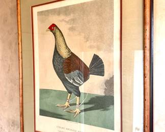 $300- Print "Streaky Breasted Red Dunn- called The Bone Crusher- 24x30