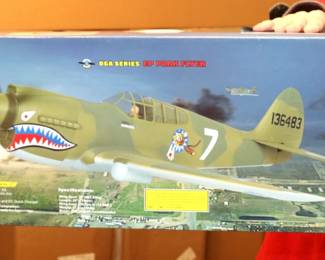 Thunder Tiger P-40 Warhawk RC Airplane