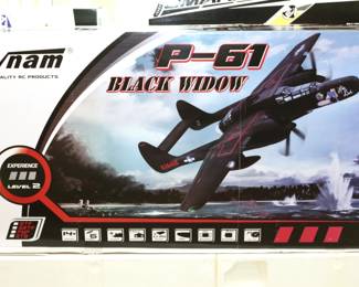 Dynam P-61 Black Widow RC Airplane